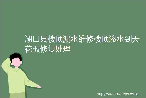 湖口县楼顶漏水维修楼顶渗水到天花板修复处理